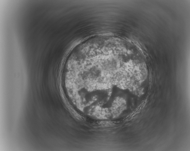 X0000112170145200909181420