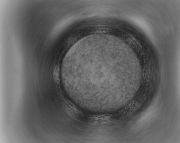 X0000112170146200909181420