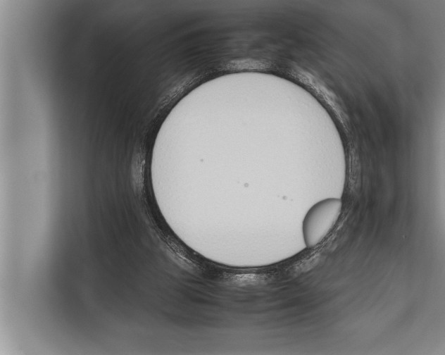 X0000112170153200909181420