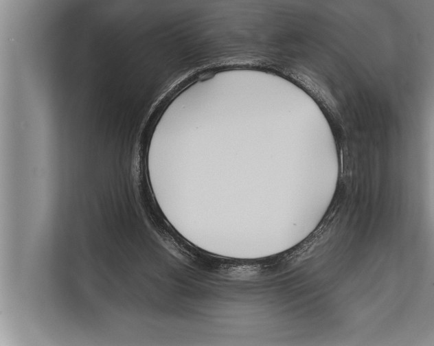 X0000112170156200909181420