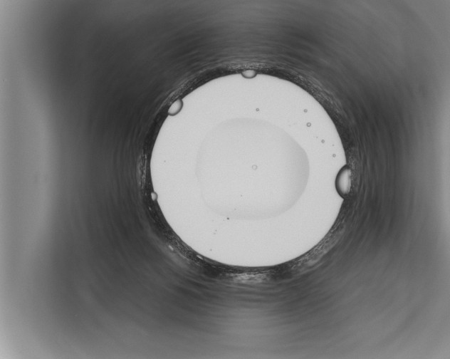 X0000112170168200909181420