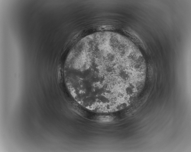 X0000112170169200909181420