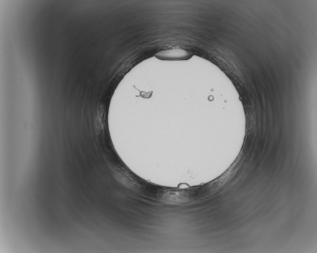 X0000112170174200909181420