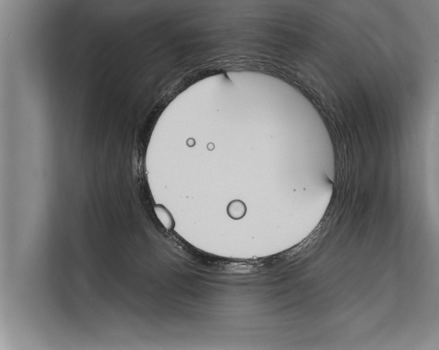 X0000112170176200909181420