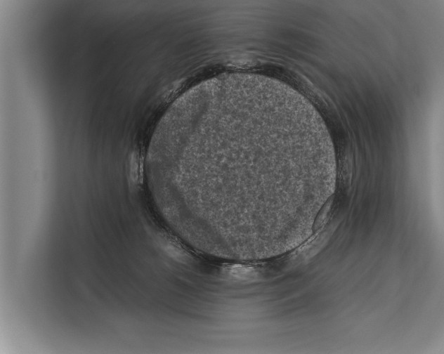 X0000112170180200909181421