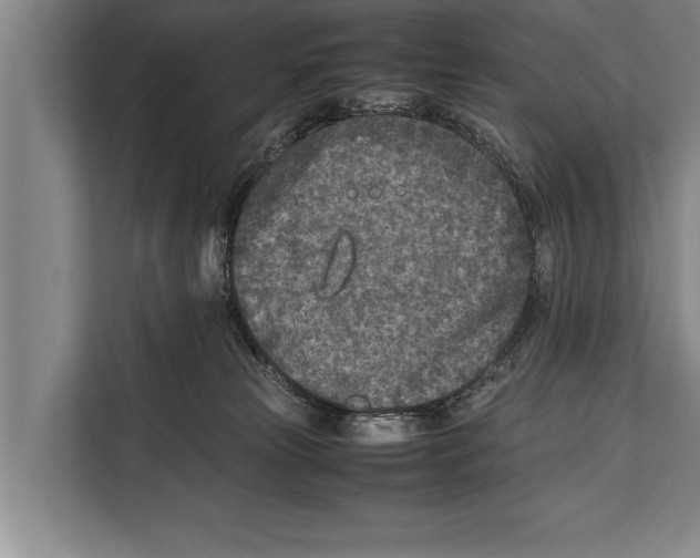 X0000112170181200909181421