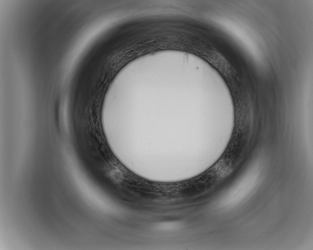 X0000112170189200909181421