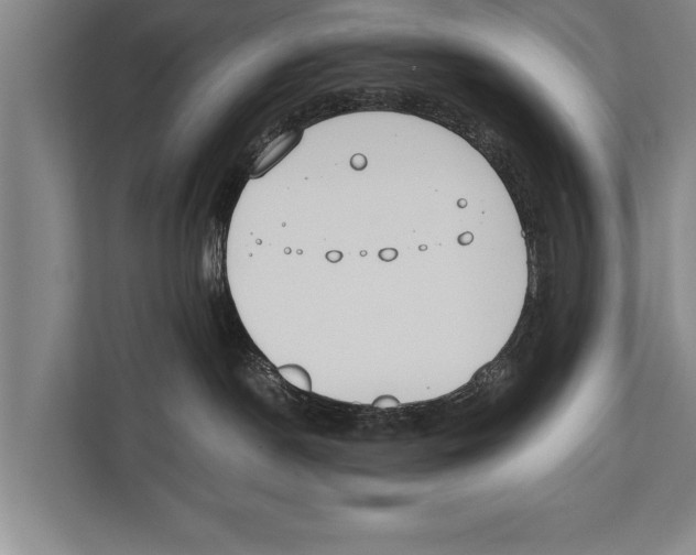 X0000112170190200909181421