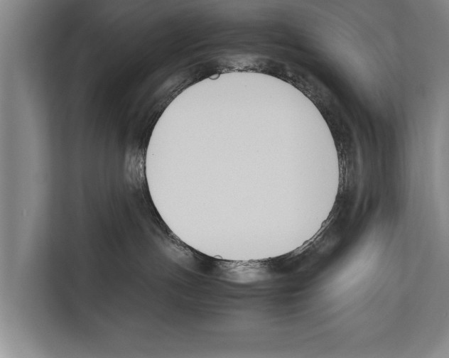 X0000112170191200909181421