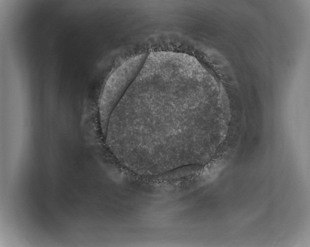 X0000112170192200909181421