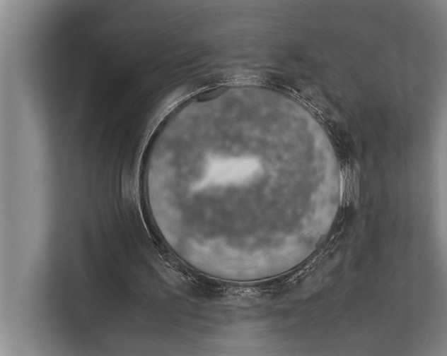 X0000112170195200909181420