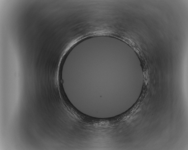 X0000112170196200909181420