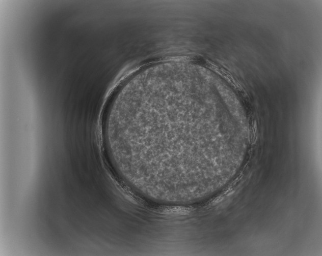 X0000112170198200909181420