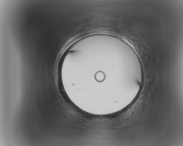 X0000112170199200909181420