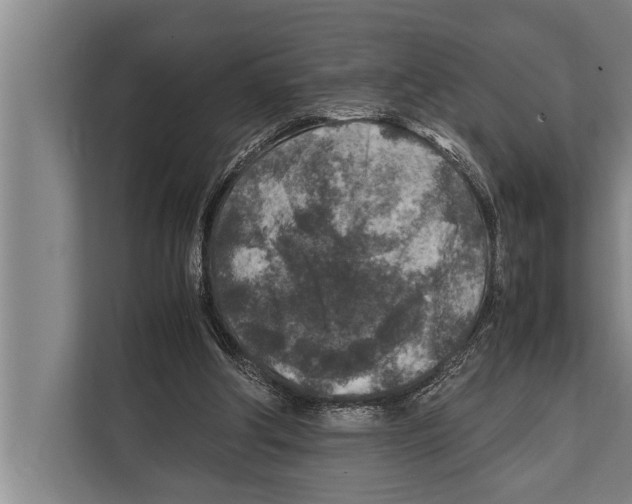 X0000112170202200909181420