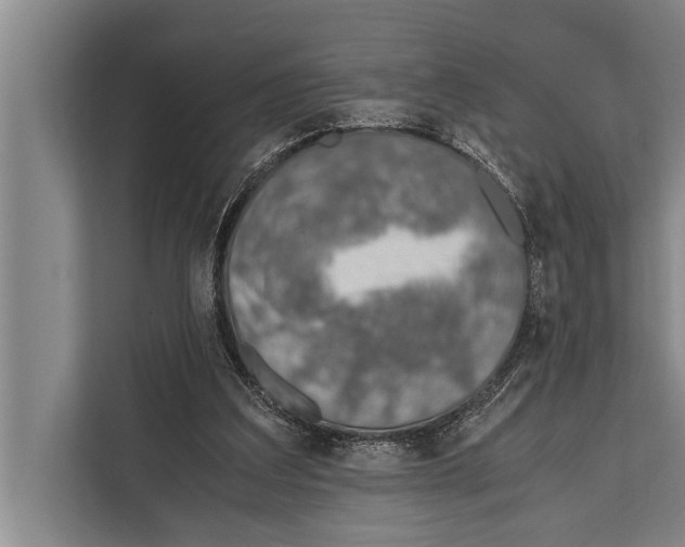 X0000112170203200909181420