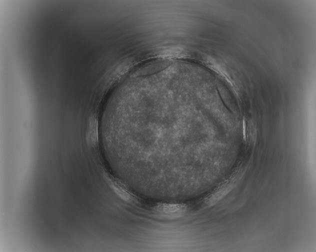 X0000112170205200909181420