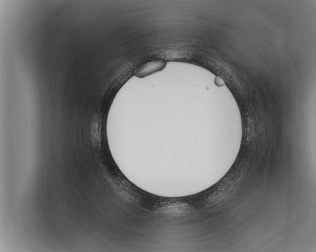 X0000112170210200909181420