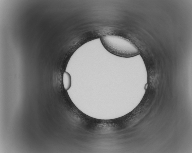 X0000112170211200909181420