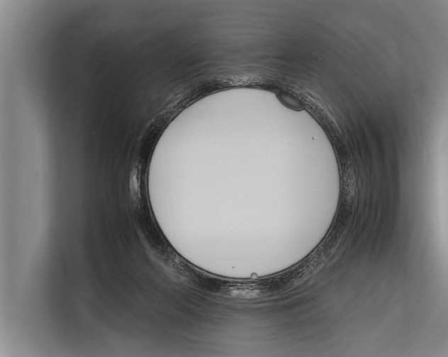 X0000112170214200909181420