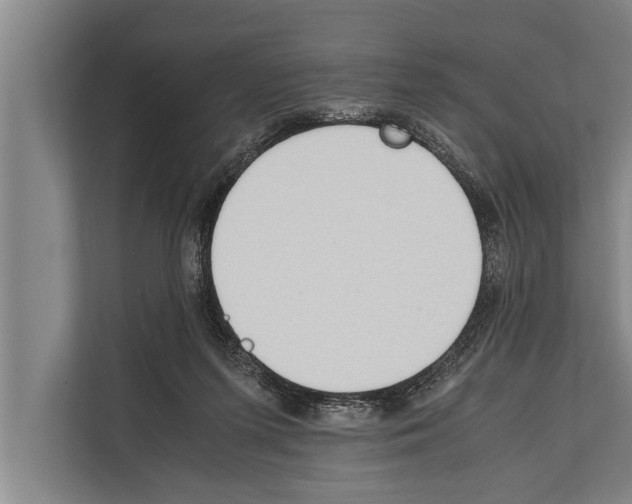 X0000112170215200909181420