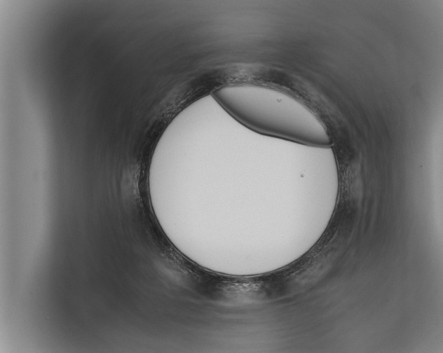 X0000112170217200909181420