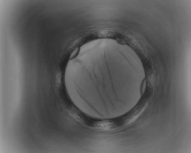 X0000112170219200909181420