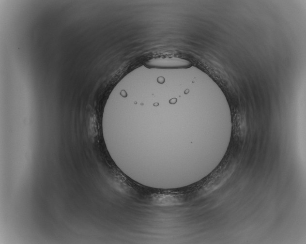 X0000112170224200909181420