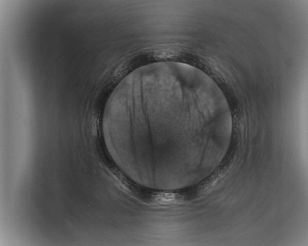 X0000112170227200909181420