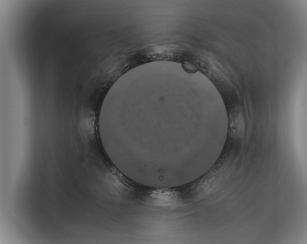 X0000112170231200909181420