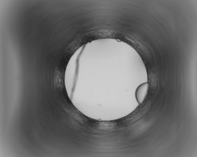 X0000112170234200909181420