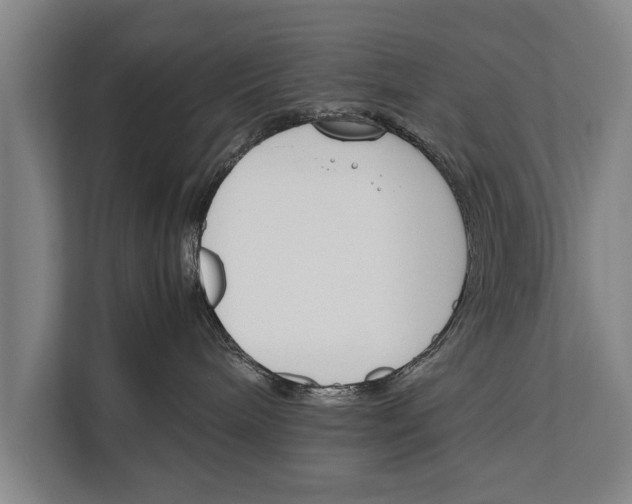 X0000112170240200909181419