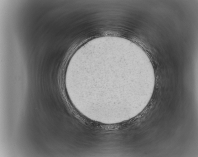 X0000112170241200909181419