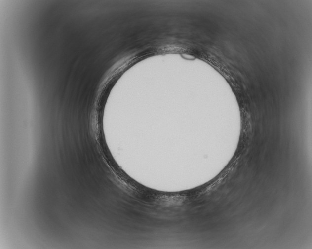 X0000112170245200909181419