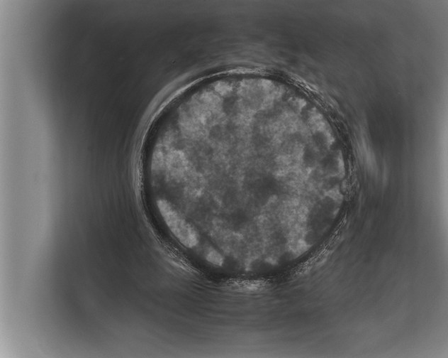 X0000112170247200909181419