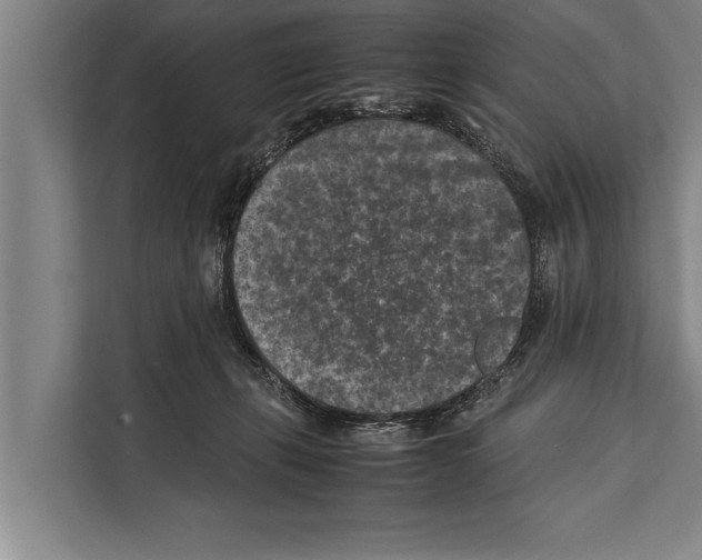 X0000112170271200909181419