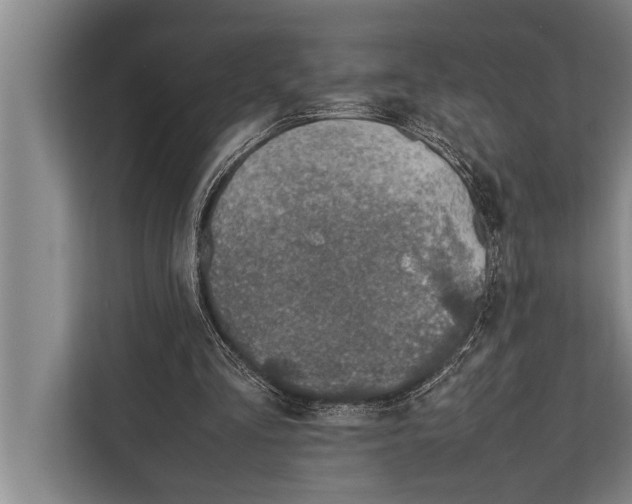 X0000112170293200909181419