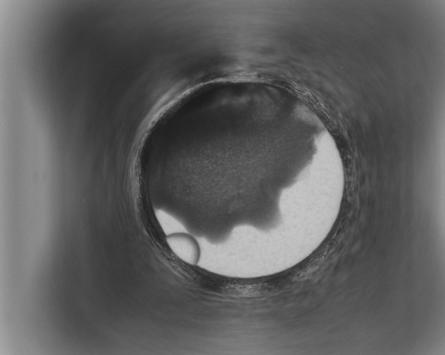 X0000112170295200909181419