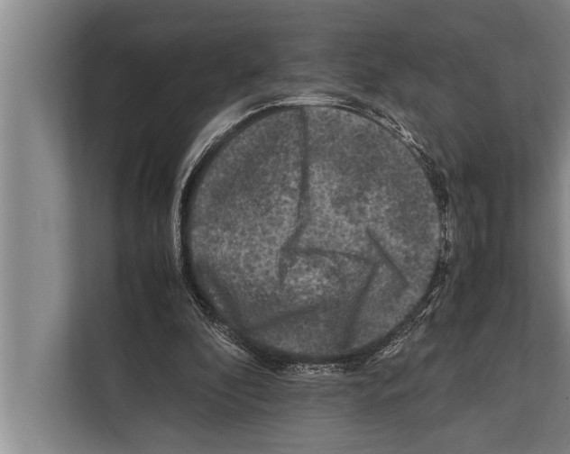 X0000112170296200909181419