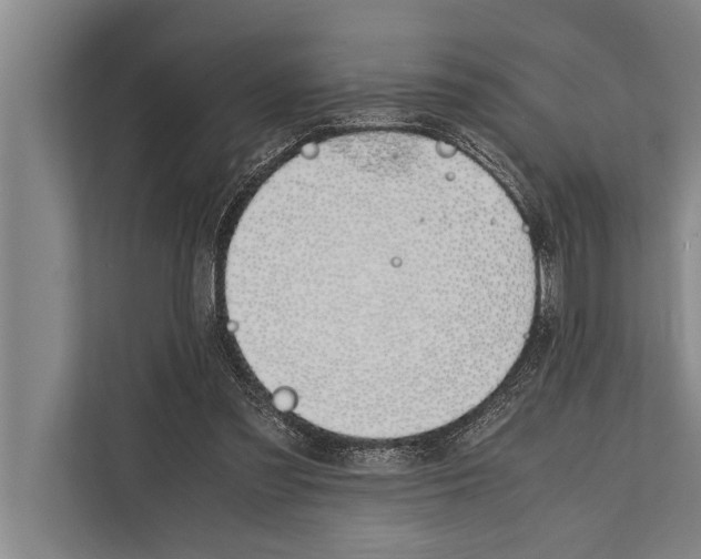 X0000112170301200909181419