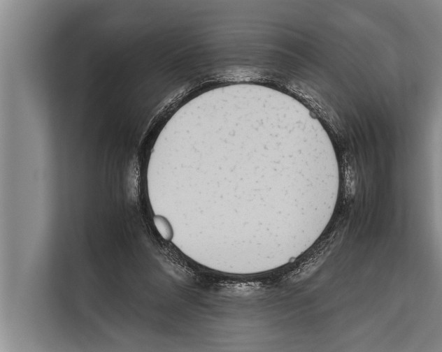 X0000112170304200909181419