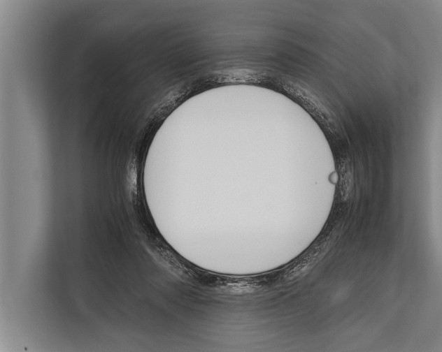 X0000112170310200909181419