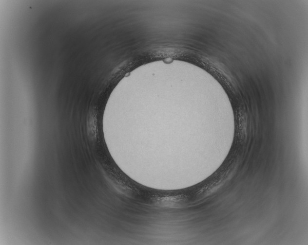 X0000112170312200909181419