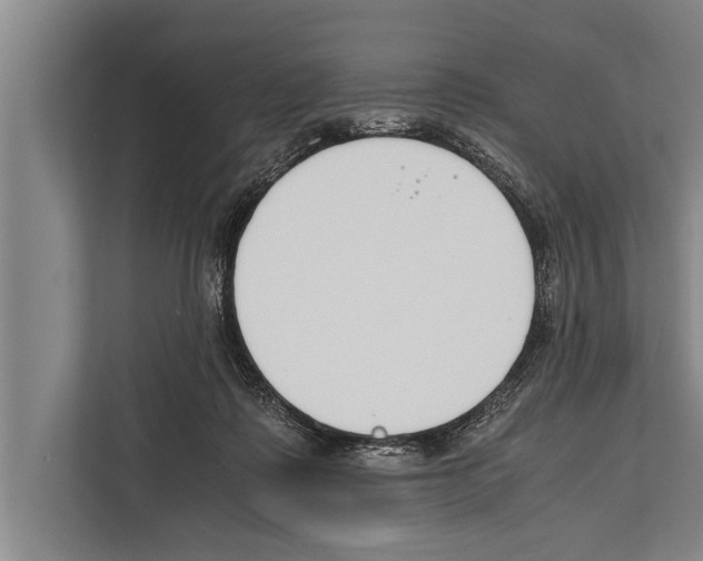 X0000112170315200909181418