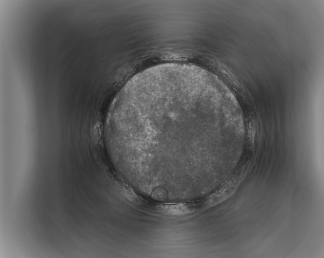 X0000112170322200909181418