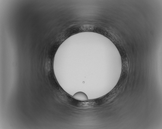 X0000112170323200909181418