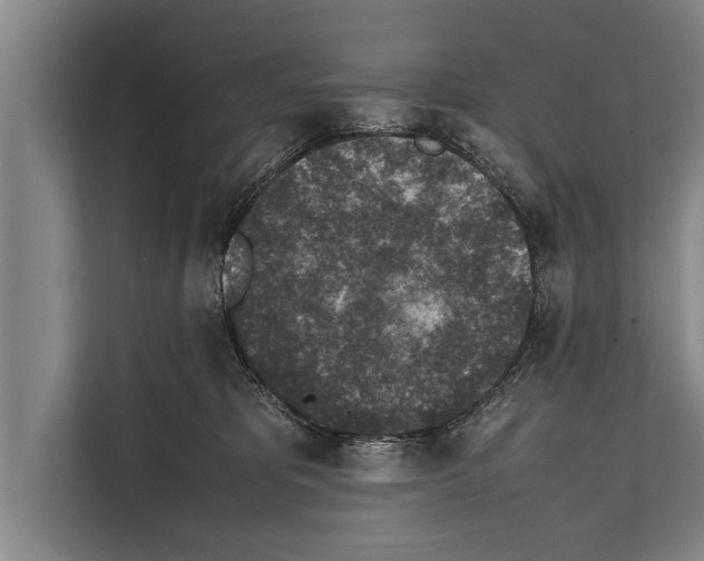 X0000112170325200909181418