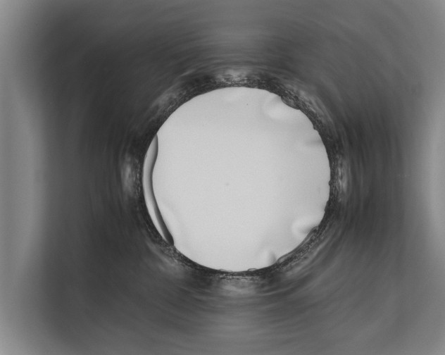 X0000112170332200909181418