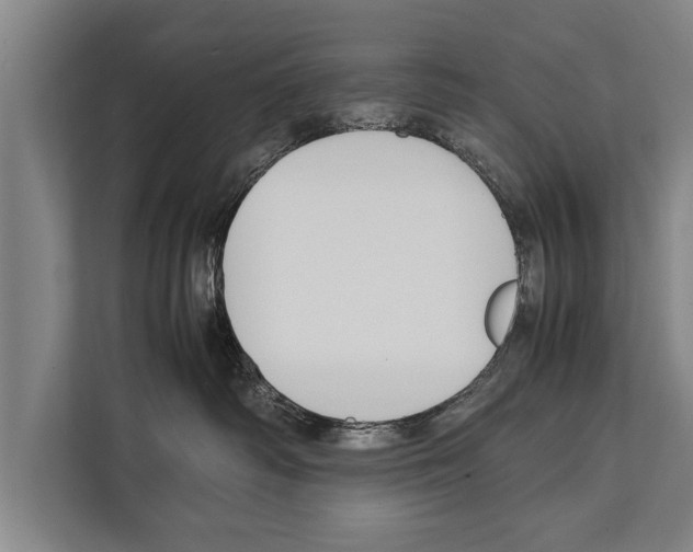 X0000112170334200909181418