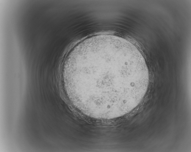 X0000112170337200909181418